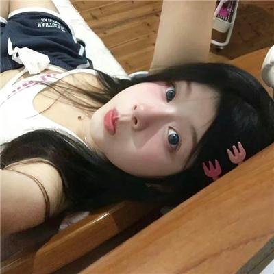 花园蜘蛛